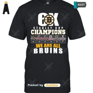 HOT TREND Stanley Cup Champion We Are All Bruins Luxury Comfort T-Shirt