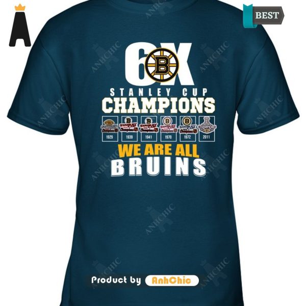 HOT TREND Stanley Cup Champion We Are All Bruins Luxury Comfort T-Shirt